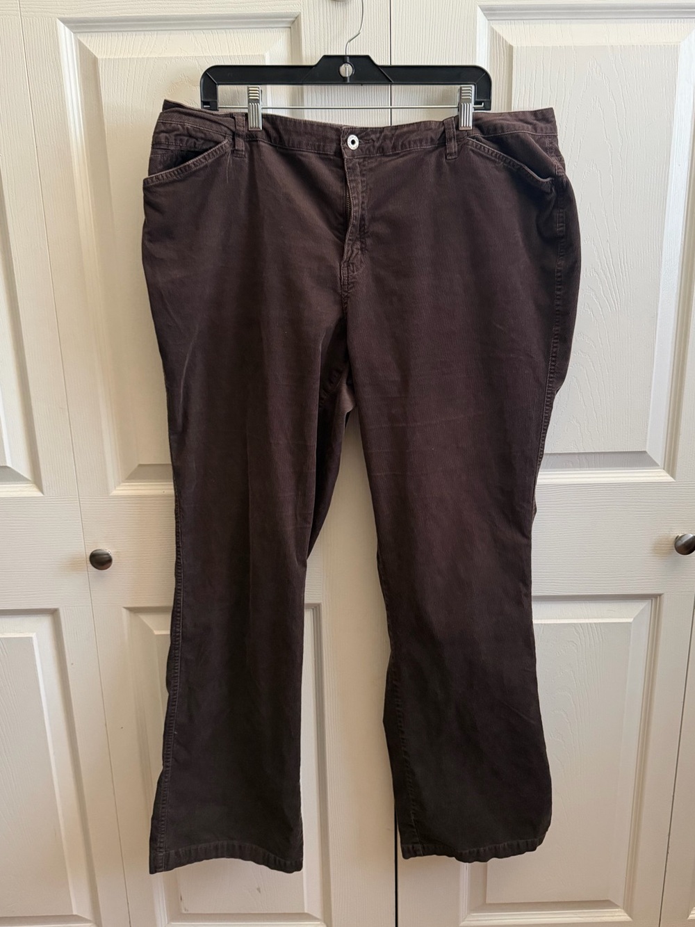 5 for $25! Avenue Boot Cut Corduroy Pants in Dark Brown